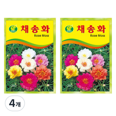 청농종묘 채송화 씨앗 250p, 4개 4개