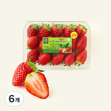 제이드가든 GAP 인증 대숲맑은 담양 금실 딸기, 6개, 500g(중과)