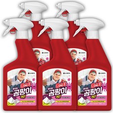 홈스타 뿌리는 곰팡이 싹 후로랄향 세정제, 5개, 750ml