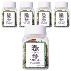 딜리셔스마켓 스타아니스홀 천연향신료, 20g, 5개