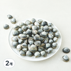 바다림 서해안 생물 동죽조개 (냉장), 2개, 1kg