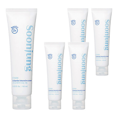 에뛰드하우스 순정 2x 베리어 보습 크림, 60ml, 5개