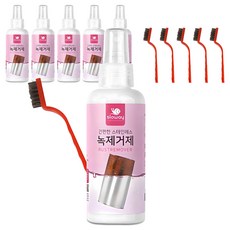 Sloway 簡易不鏽鋼除鏽劑+刷子, 150ml, 6個