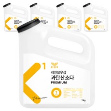 레인보우샵 과탄산소다 프리미엄 본품, 1kg, 5개