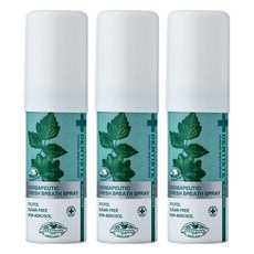 덴티스테 브레스 구강스프레이, 15ml, 3개