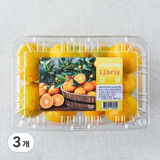 가족 당도선별 11brix 감귤, 3개, 800g(로열과)