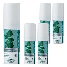 덴티스테 브레스 구강스프레이, 15ml, 5개