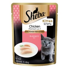 쉬바 키튼 고양이 간식 파우치, 닭, 70g, 1개