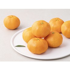 곰곰 당도선별 레드향, 1kg, 1팩