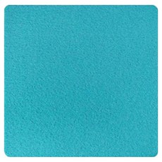 Hanbomnuri 浴室玄關地板防滑線圈地墊, 祖母綠, 1個