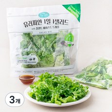 팜에이트 유러피안 1일 1샐러드 with 플랜트 베이스드 드레싱, 240g, 3개