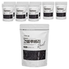 자연다움 건블루베리, 9개, 100g