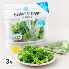 팜에이트 유러피안 1일 1샐러드 with 제로팻 드레싱, 240g, 3개