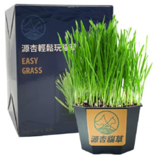 源杏 輕鬆玩 Set 2入, 貓草, 1盒