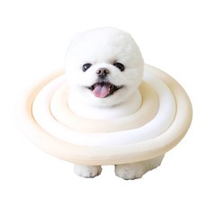 sosimtiger 寵物用奶油環造型頸圈, 混合顏色