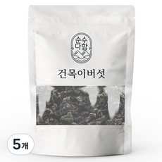 순수다함 건목이버섯, 300g, 5개