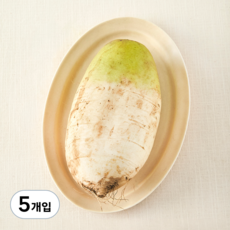 친환경 무, 1개입, 5개