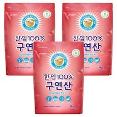 한입 100% 구연산, 1kg, 3개