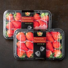 산지직송 부성 킹스베리 딸기, 550g, 2팩