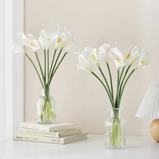 코코도르 조화 카라 15p + 메리고 화병 2p, 화이트, 1개