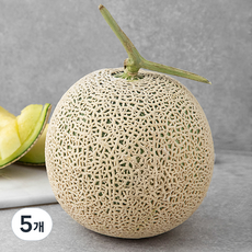 새벽경매 머스크 메론, 1.9kg, 5개