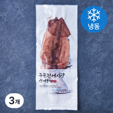 주문진어시장건어물 반건조 오징어 (냉동), 3개, 350g(3미)