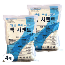 위드블럭 물만부어 사용하는 백시멘트 보수제 1.5kg, 4개