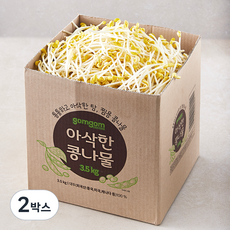 곰곰 아삭한 콩나물, 3.5kg, 2박스