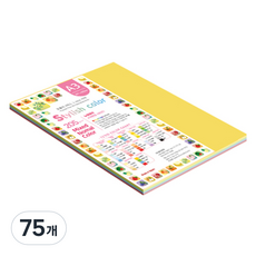 종이문화 스타일리쉬 두꺼운 혼합색지 205g 12 SN Vivid Tone, 75개, A3