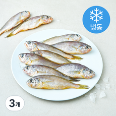 일품 법성포 이력추적 참조기 (냉동), 3개, 600g(중/10마리)