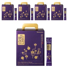 광동 배도라지 쌍화 스틱, 10ml, 500개