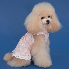 DOG-i 寵物蕾絲棉質連身裙, 粉紅色