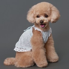 DOG-i 寵物蕾絲棉質連身裙, 藍色