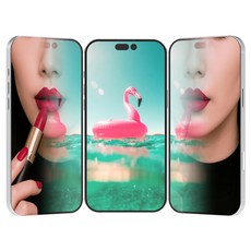 로랜텍 미러미 프리미엄 풀커버 강화유리 휴대폰 액정보호필름 실버 2p 세트, 1세트