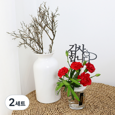 블뤼엔 생화 카네이션 + 나한송 수경화분 메세지픽 + 카드 + 돈봉투, 레드(카네이션), 2세트