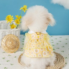Puppy Dream 狗狗向日葵翻領蛋糕蕾絲連身裙 10043, 1個, 黃色