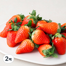 산지직송 한반도 킹스베리 딸기, 500g, 2팩