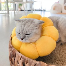 DING DONG PET 蓬鬆向日葵頸圈, 黃色向日葵