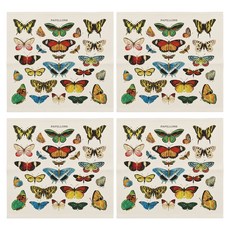 CAVALLINI&CO. 方形餐巾 NPKN BTR 48.5 x 48.5cm 4個, 蝴蝶 多色, 1組