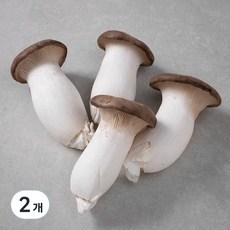친환경 새송이버섯, 400g, 2개