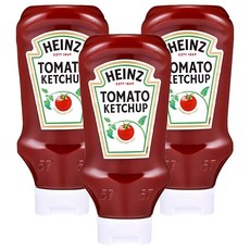 하인즈 토마토 케찹, 570g, 3개