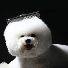 Mars ALCOSO Mars Flush Comb 寵物刷 19cm, 單一顏色, 1個