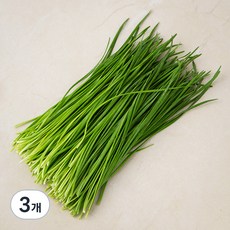 영양부추, 100g, 3개