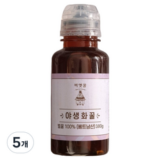 비엣꿀 자연 야생화꿀, 380g, 5개