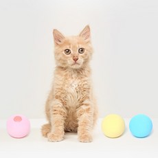 貓咪發聲玩具球 3入, 3個, 粉色/藍色/黃色