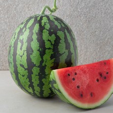 곰곰 당도선별 수박, 5kg 이상, 1개