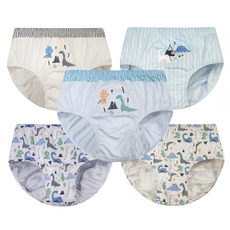 DING DONG DANG KIDS 男童Dino Town純棉三角內褲5件組