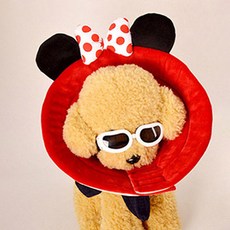 도그아이 강아지 고양이 깔대기 넥카라 쥐순이 2호, 1개