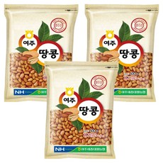 농협 여주 땅콩, 500g, 3개