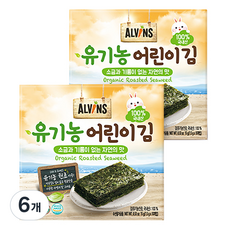 ALVINS 愛彬思 孩童海苔片, 無調味, 15g, 6盒